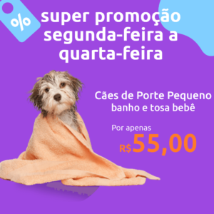 banho_e_tosa_bebe_supercaes_petshop